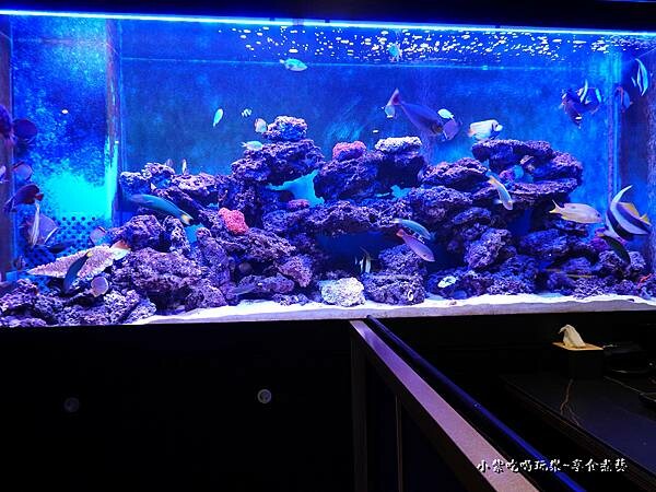 水族箱-山上走走日式無菜單燒肉 (7).jpg