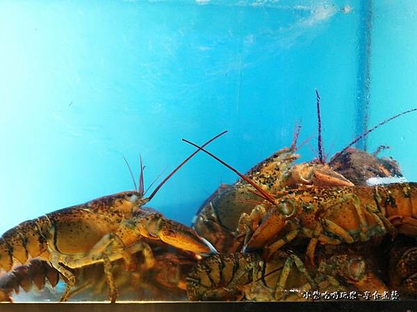 活跳跳生猛海鮮-山上走走日式無菜單燒肉 (1).jpg