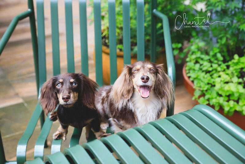 _J6A6668-2拷貝 拷貝