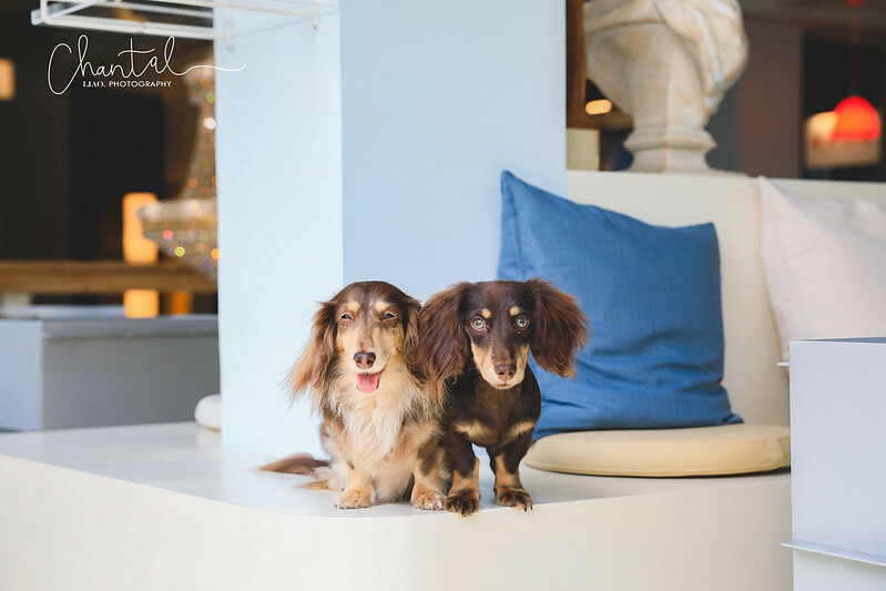 _J6A6630-2拷貝 拷貝