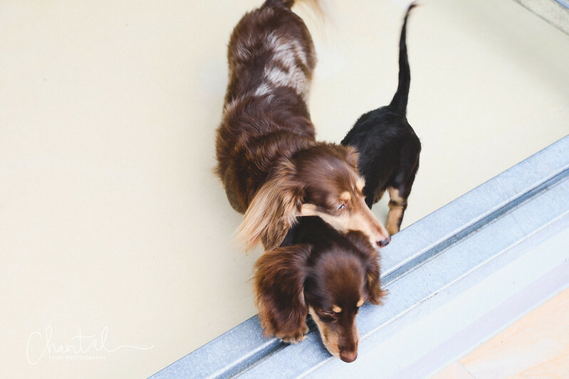 _J6A6807-2拷貝 拷貝