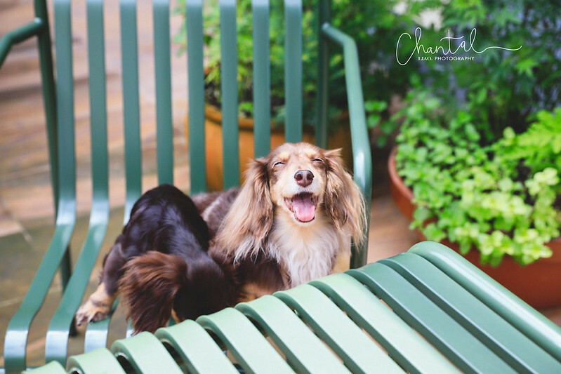 _J6A6666-2拷貝 拷貝