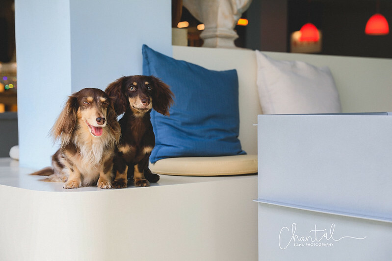 _J6A6631-2拷貝 拷貝