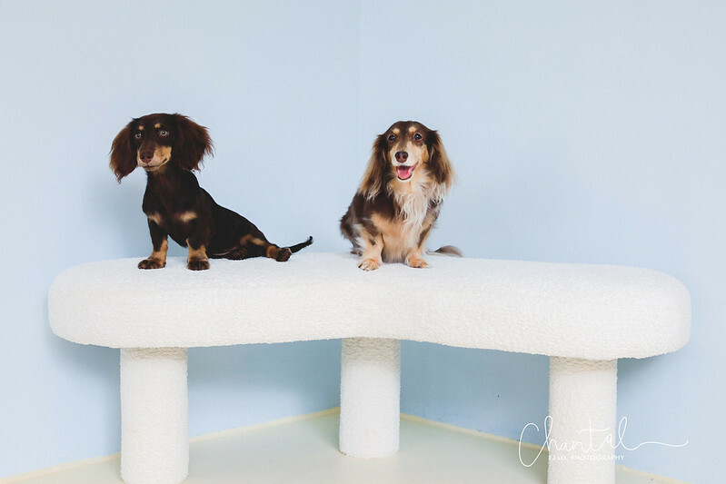 _J6A6796-2拷貝 拷貝