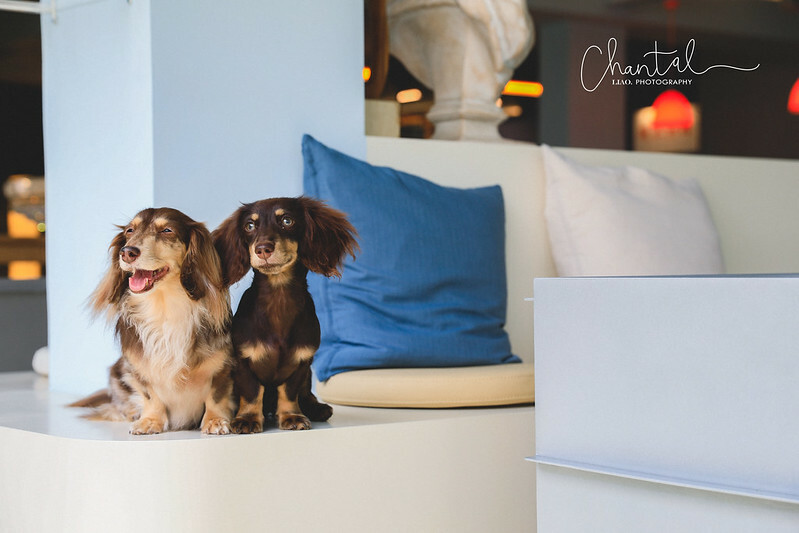 _J6A6633-2拷貝 拷貝