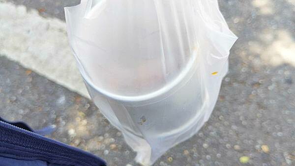 【南機場美食】曉迪筒仔米糕｜超便宜又美味的銅板小吃店！必吃滷肉飯