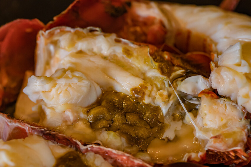 左營美食 / 棠鐵板料理Teppanyaki