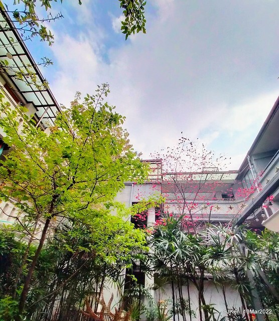 「鯉魚 The Carp」餐廳(Taiwanese & Japanese dishes restaurant), mullet roe fried rice , spicy fried noodle &Matsusaka meat ramen), Taipei, Taiwan, Mar 11, 2022.