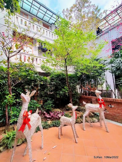 「鯉魚 The Carp」餐廳(Taiwanese & Japanese dishes restaurant), mullet roe fried rice , spicy fried noodle &Matsusaka meat ramen), Taipei, Taiwan, Mar 11, 2022.
