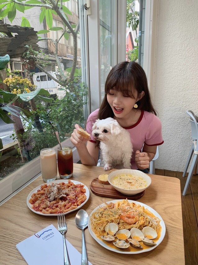 國父紀念館美食|康帕斯義麵屋 全手工製作義大利麵專賣店 和毛孩一起在玻璃屋裡吃義大利麵吧!