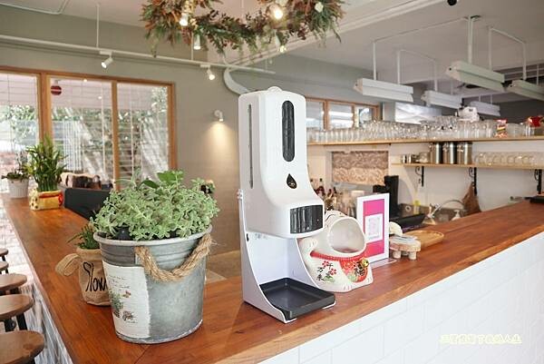 一中商圈早午餐｜台中美食【洄流Stream早午餐】現做美味餐點 洄流無敵大早午餐 沙拉富翁 充滿愛心的寵物友