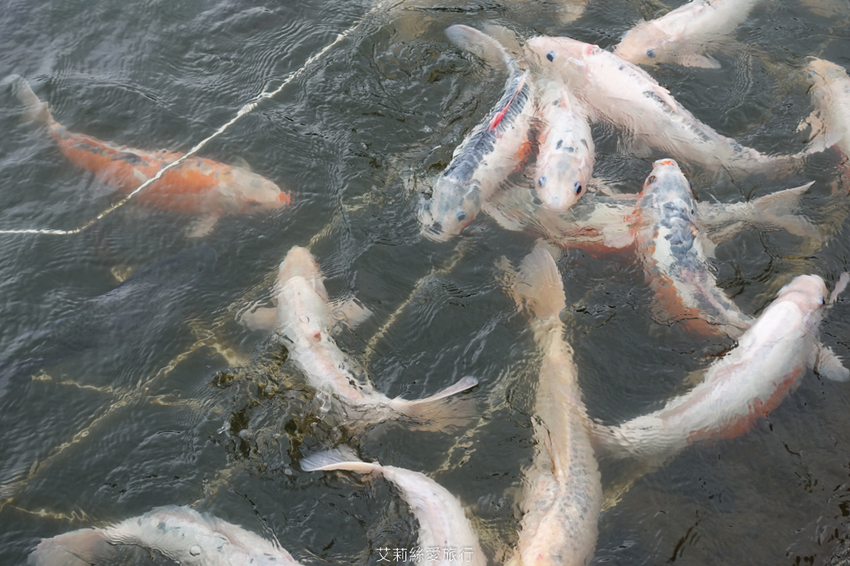 親子景點》朱銘美術館 散步玩水欣賞藝術品 親子同遊親近大自然 - 艾莉絲愛旅行