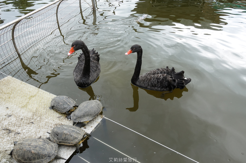 親子景點》朱銘美術館 散步玩水欣賞藝術品 親子同遊親近大自然 - 艾莉絲愛旅行
