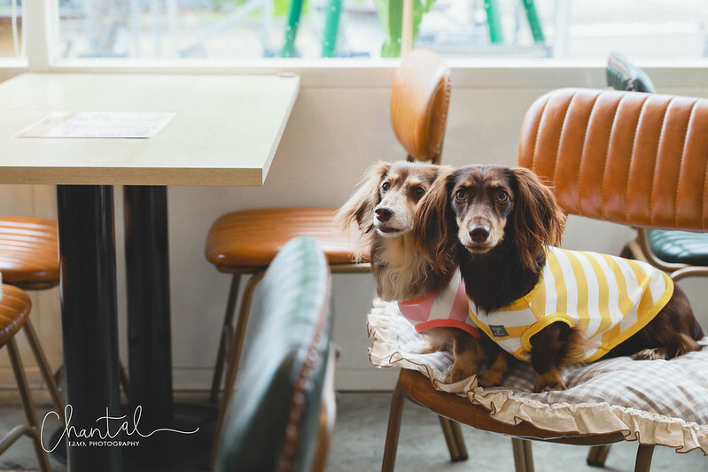 1J6A4857-2拷貝 拷貝