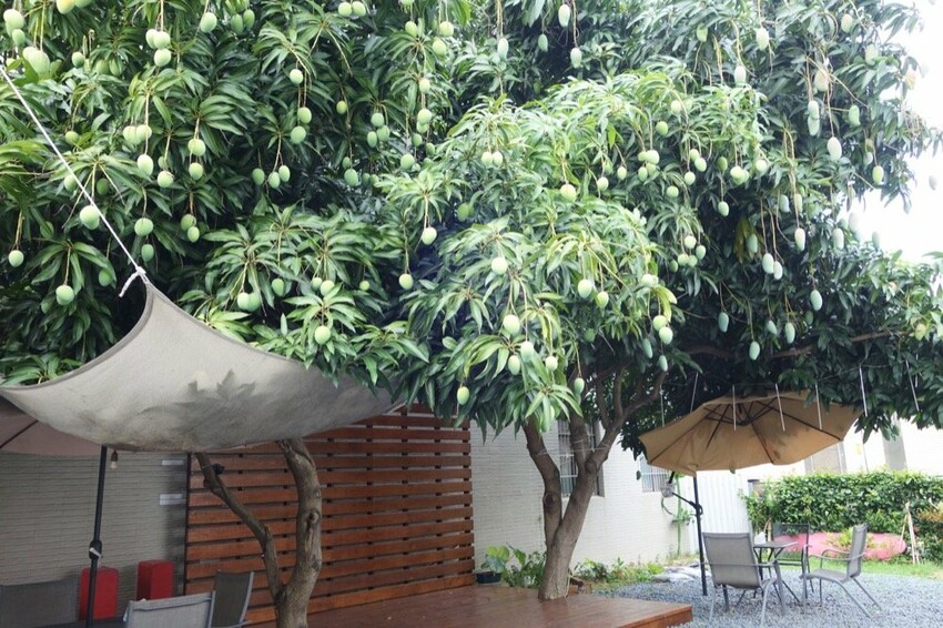 食久。茶事|台中大里美食-超美玻璃貨櫃屋咖啡廳、美味下午茶|台中餐廳推薦