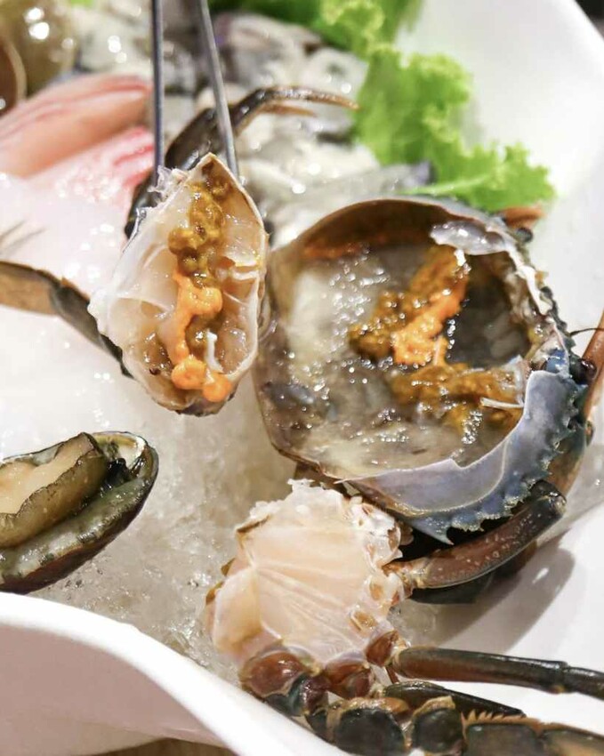 蟳鮮屋桃園藝文特區新開幕火鍋，吸睛水族箱海產現點現撈 – Iris eating