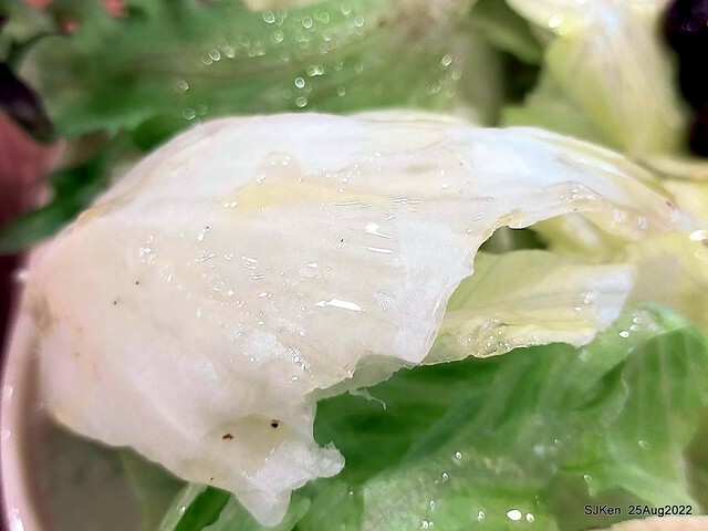「山茶咖啡」--- 「番茄鮪魚口味蛋沙拉麵包 + 綜合沙拉 + 玉子燒 + 地瓜 +金萱茶」(Breakfast bread with tomato & tuna at Suncha coffee shop), Taipei, Taiwan, SJKen, Aug 25, 2022.