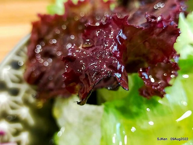 「山茶咖啡 ---芝麻海苔滿滿超值早餐套餐」(Breakfast of Bread with Sesame & nore dumpling , salad & tea), Taipei, Taiwan, Aug 9, 2022.