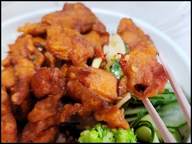 【南區】炸鷄大獅～2022畢業季活動 6/1~6/30"仨五好友優惠套餐" 中午開始就能吃到炸雞、炸物@興大圓廳 近中