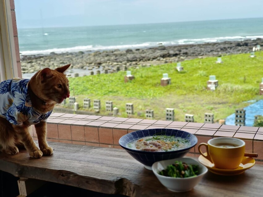 【台北.石門】北海岸海景餐廳推薦。靠北邊叢山曉。寵物友善咖啡廳推小卷米粉+控肉飯家庭料理