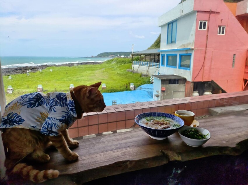 【台北.石門】北海岸海景餐廳推薦。靠北邊叢山曉。寵物友善咖啡廳推小卷米粉+控肉飯家庭料理