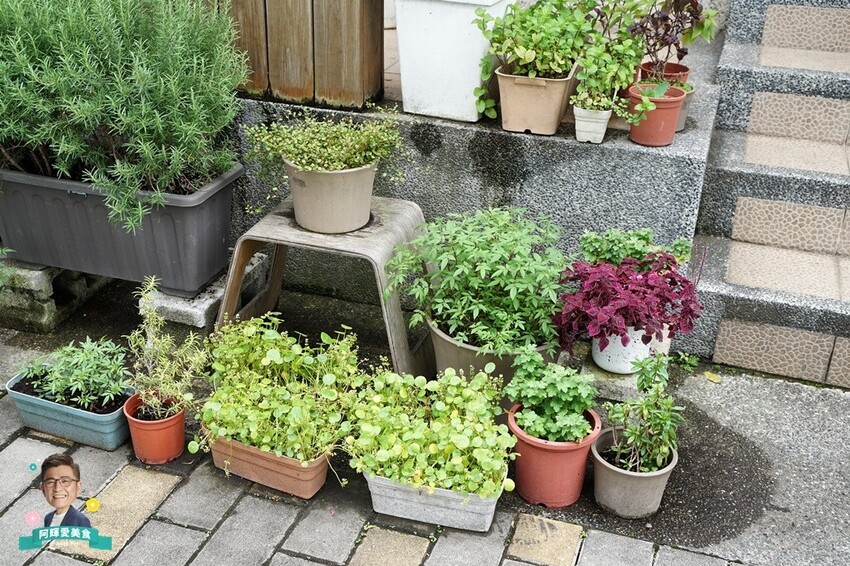 DSC02465.jpg DSC02465.jpg