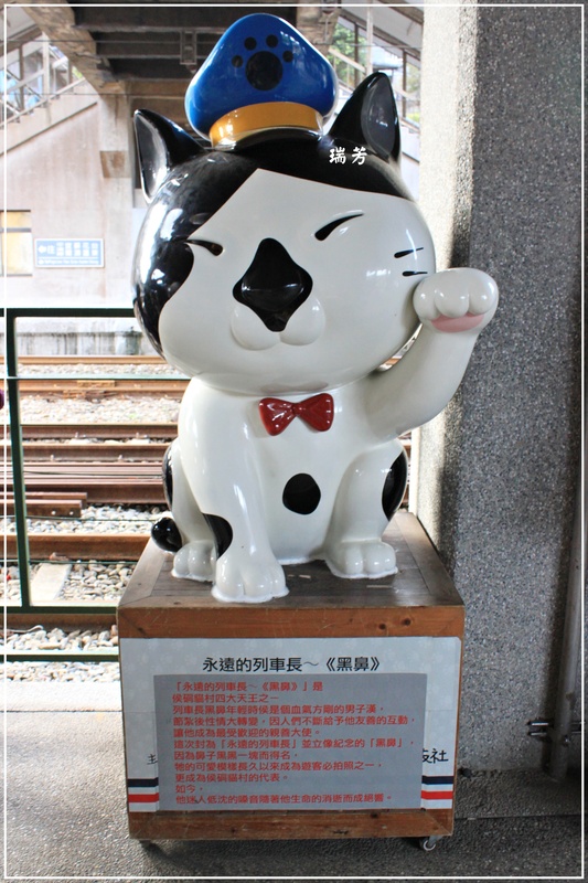 ＊好多喵喵－瑞芳猴硐