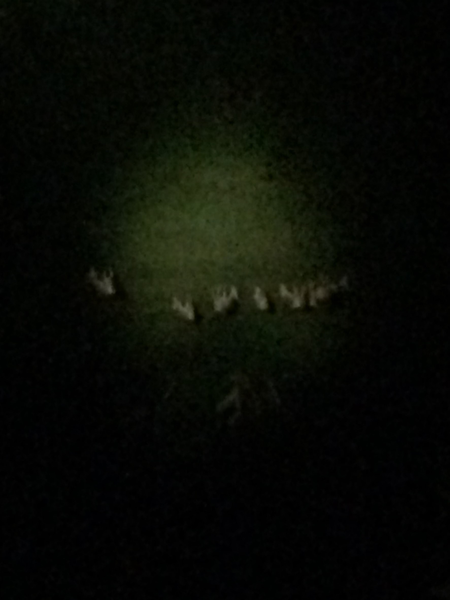 墾丁收服Pokemon Go精靈之旅