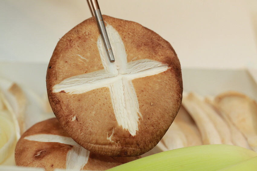 IMG_8247.JPG IMG_8247.JPG