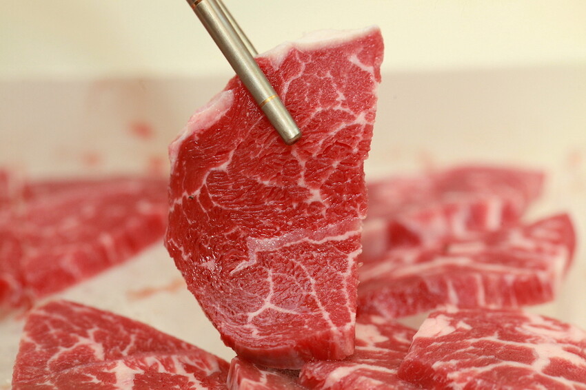 IMG_8219.JPG IMG_8219.JPG