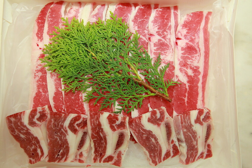 IMG_8253.JPG IMG_8253.JPG