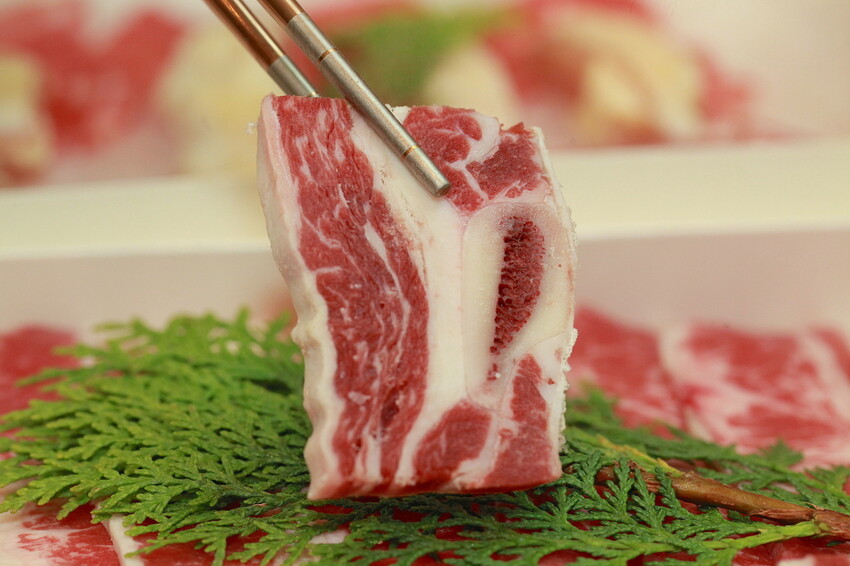 IMG_8250.JPG IMG_8250.JPG