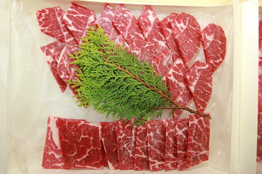 IMG_8251.JPG IMG_8251.JPG