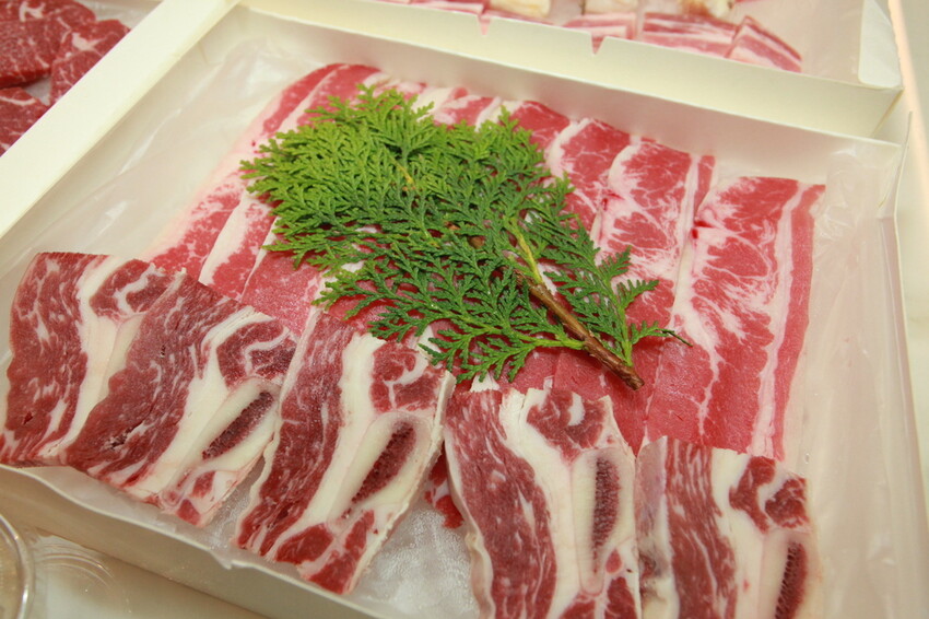 IMG_8254.JPG IMG_8254.JPG