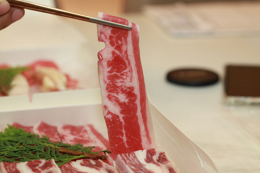 IMG_8260.JPG IMG_8260.JPG