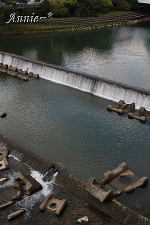 【親子旅遊】新北坪林。茶葉博物館+福氣老街+親水吊橋
