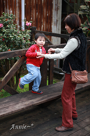 【親子旅遊】新北坪林。茶葉博物館+福氣老街+親水吊橋