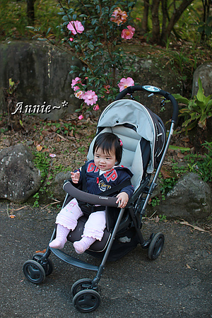 【親子旅遊】新北坪林。茶葉博物館+福氣老街+親水吊橋