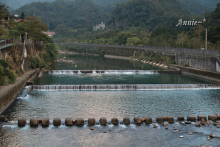 【親子旅遊】新北坪林。茶葉博物館+福氣老街+親水吊橋
