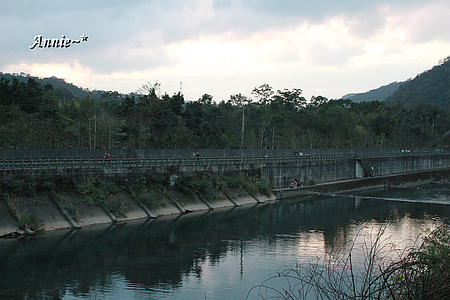 【親子旅遊】新北坪林。茶葉博物館+福氣老街+親水吊橋