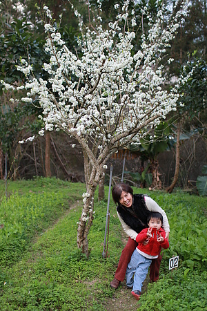 【親子旅遊】新北坪林。茶葉博物館+福氣老街+親水吊橋