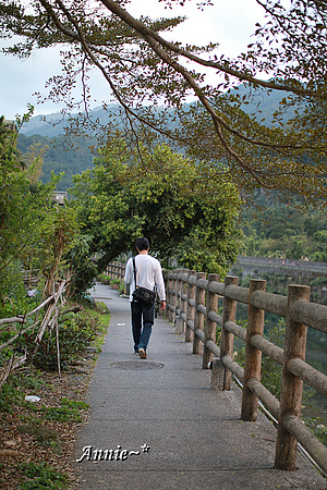 【親子旅遊】新北坪林。茶葉博物館+福氣老街+親水吊橋