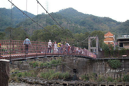 【親子旅遊】新北坪林。茶葉博物館+福氣老街+親水吊橋
