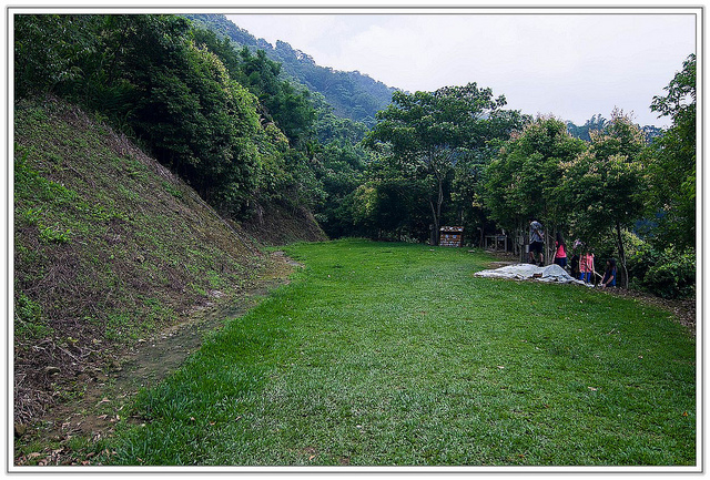 ╠花季╣這裡品種不一樣!!還有愛情花讓你沐浴愛情海中!