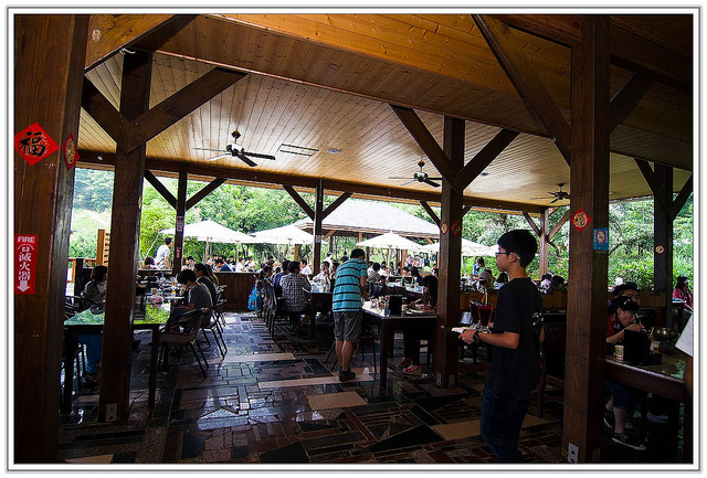 ╠花季╣這裡品種不一樣!!還有愛情花讓你沐浴愛情海中!