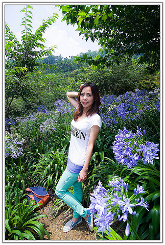 ╠花季╣這裡品種不一樣!!還有愛情花讓你沐浴愛情海中!