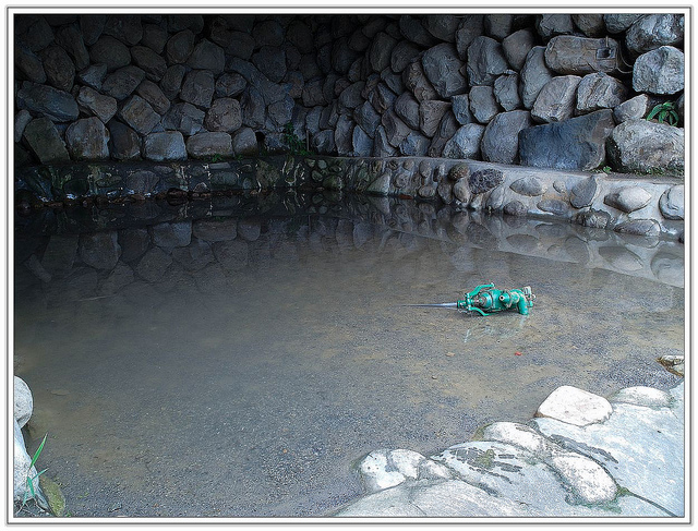 ╠花季╣這裡品種不一樣!!還有愛情花讓你沐浴愛情海中!