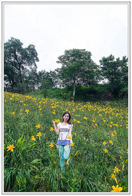 ╠花季╣這裡品種不一樣!!還有愛情花讓你沐浴愛情海中!