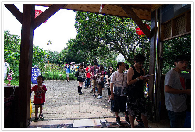 ╠花季╣這裡品種不一樣!!還有愛情花讓你沐浴愛情海中!