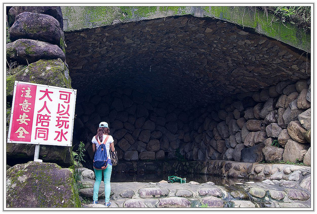 ╠花季╣這裡品種不一樣!!還有愛情花讓你沐浴愛情海中!